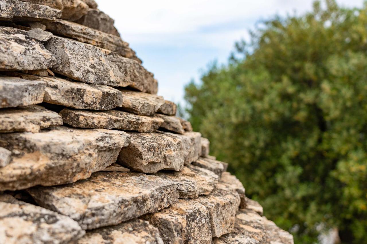 モノーポリ Hill Trull - Typical Apulian Houseヴィラ エクステリア 写真